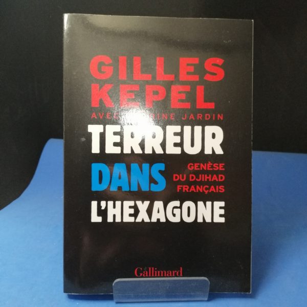 Terreur dans l'Hexagone : Genèse du Djihad français