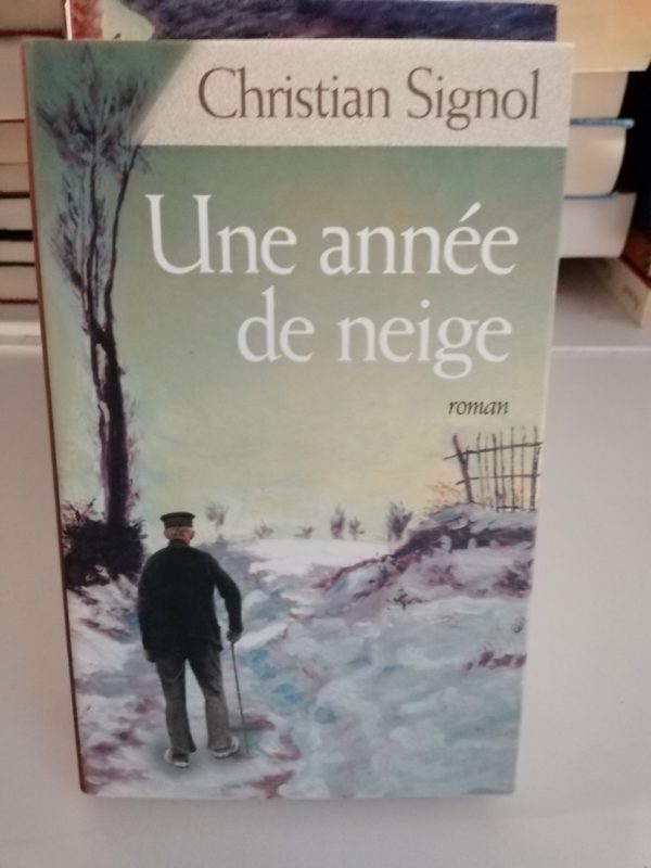 Une année de neige