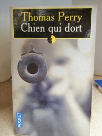 Chien qui dort