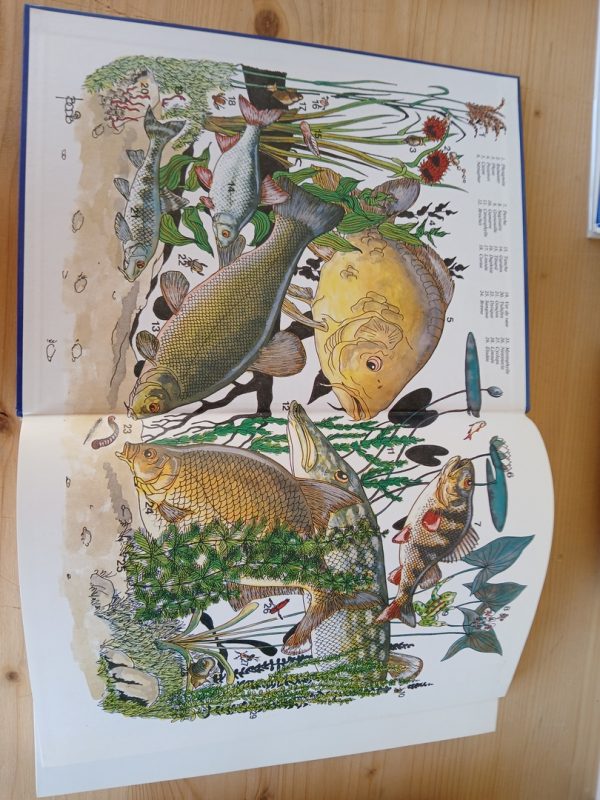 Le Livre de la pêche – Image 3