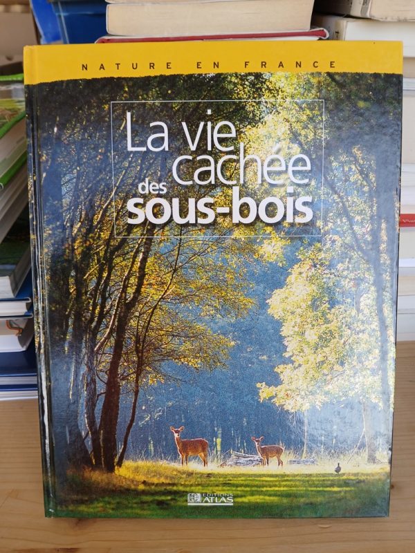 La vie cachée des sous bois