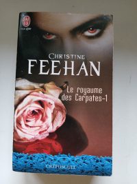 Le royaume des Carpates 1 Le prince de l'ombre