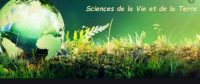 Sciences de la terre et de l'environnement