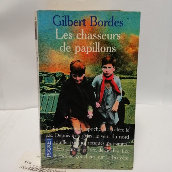 Les chasseurs de papillons