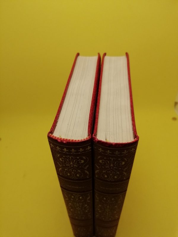 L'Idiot  2 tomes – Image 3