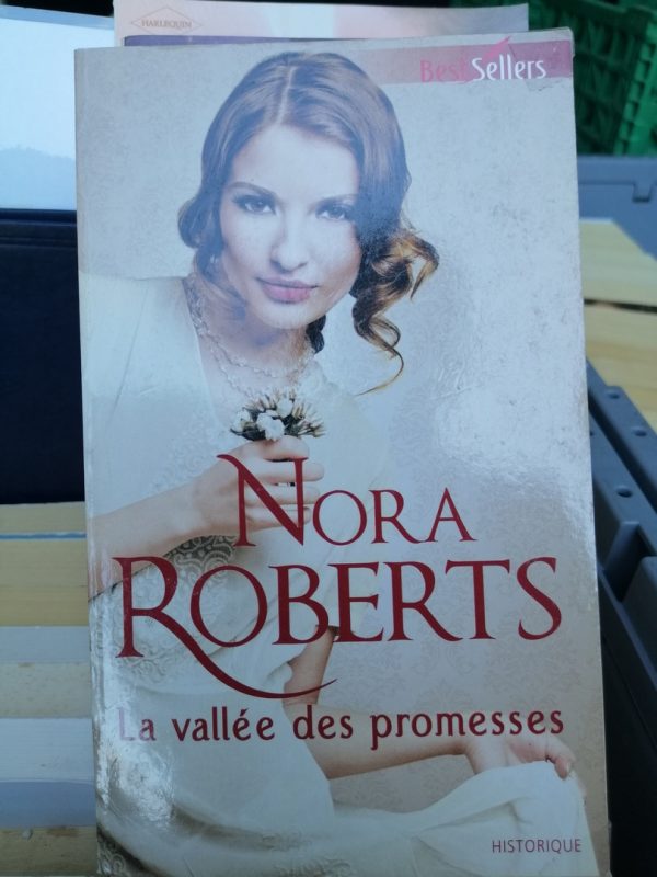 La vallée des promesses