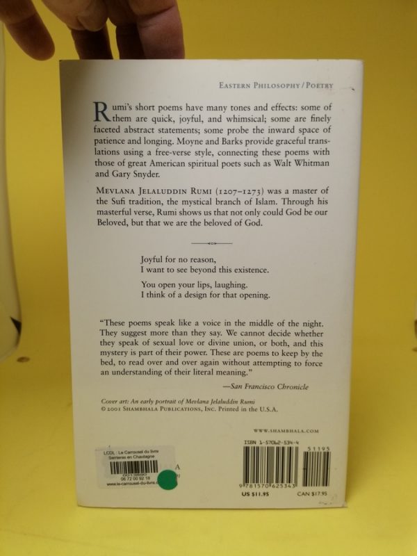 Unseen Rain: Quatrains of Rumi – Image 4