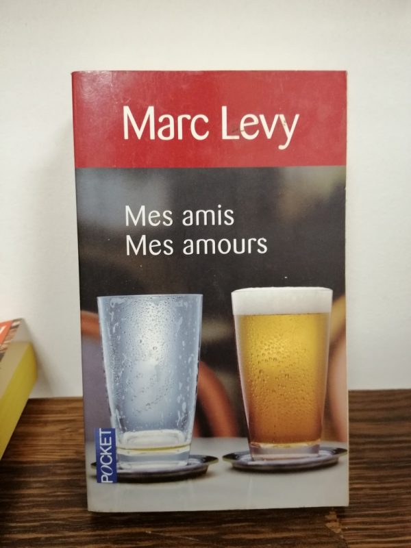 Mes amis Mes amours