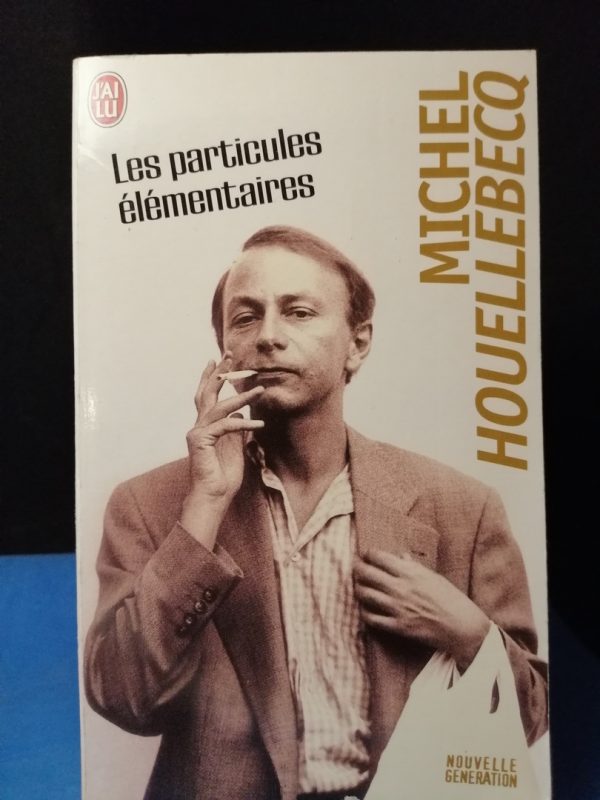 Les particules élémentaires