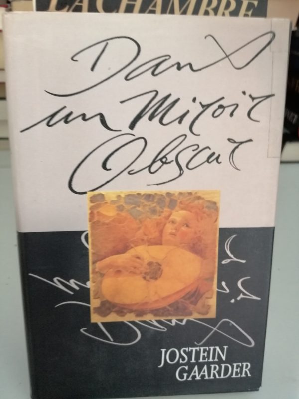 Dans un miroir obscur