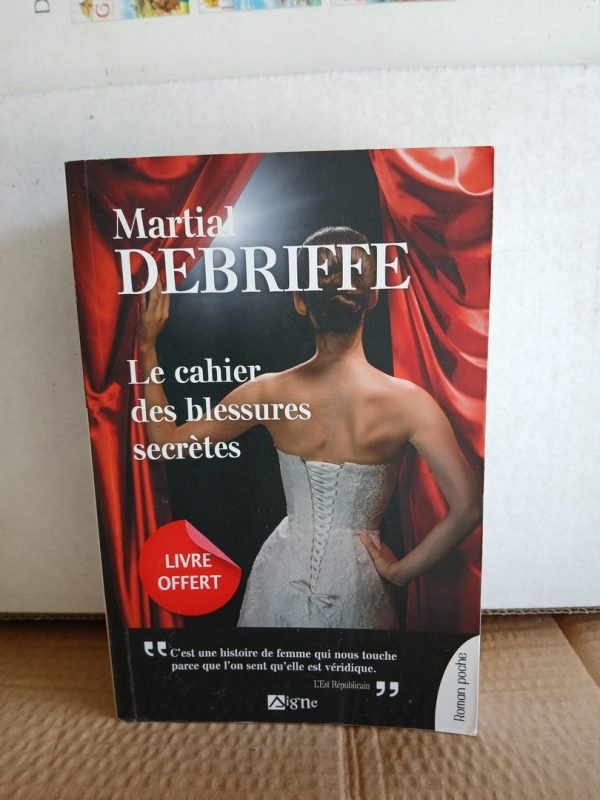 Le cahier des blessures secrètes