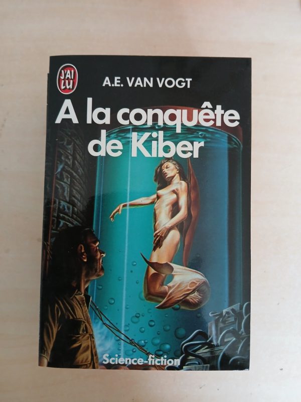 À la conquête de Kiber