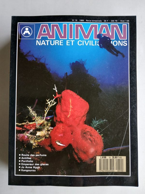 ANIMAN N°19