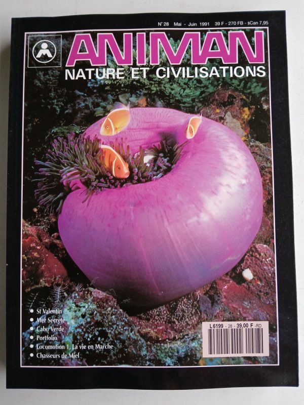 ANIMAN N°28