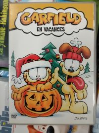 Garfield en vacances - DVD