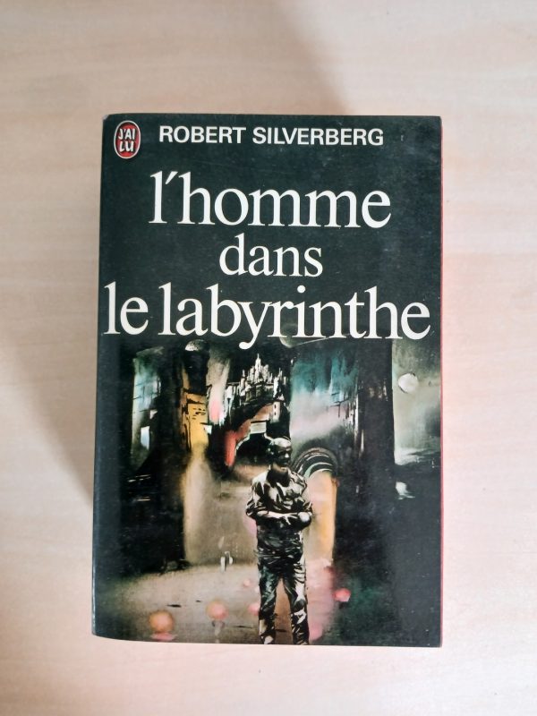 L'homme dans le labyrinthe