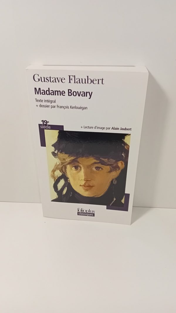 Madame Bovary - Mœurs de province