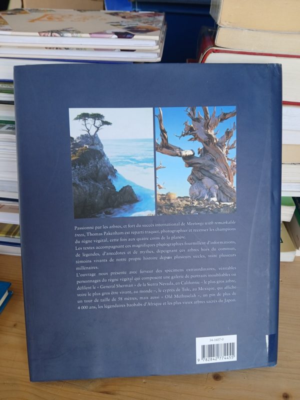 Le Tour du monde en 80 arbres – Image 4