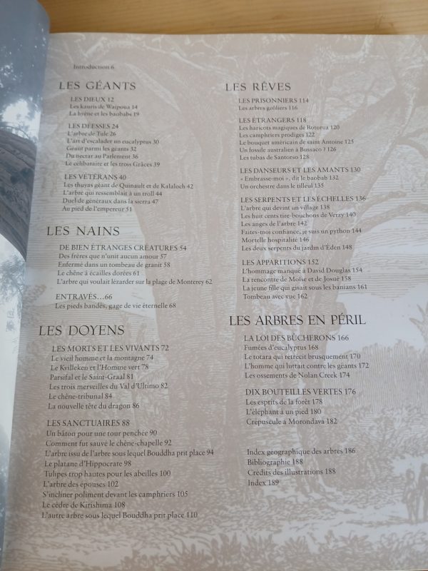 Le Tour du monde en 80 arbres – Image 3
