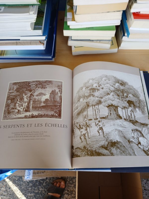 Le Tour du monde en 80 arbres – Image 2