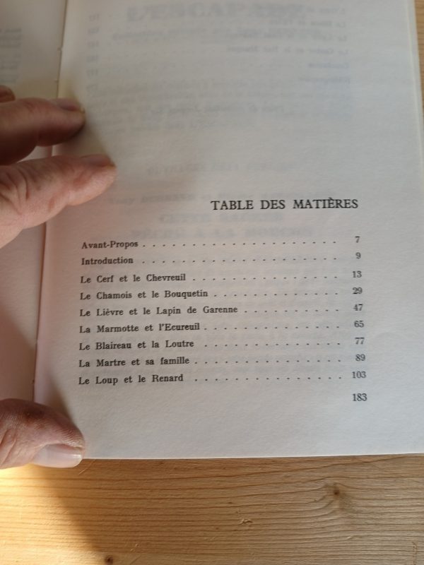 Nos animaux sauvages – Image 4