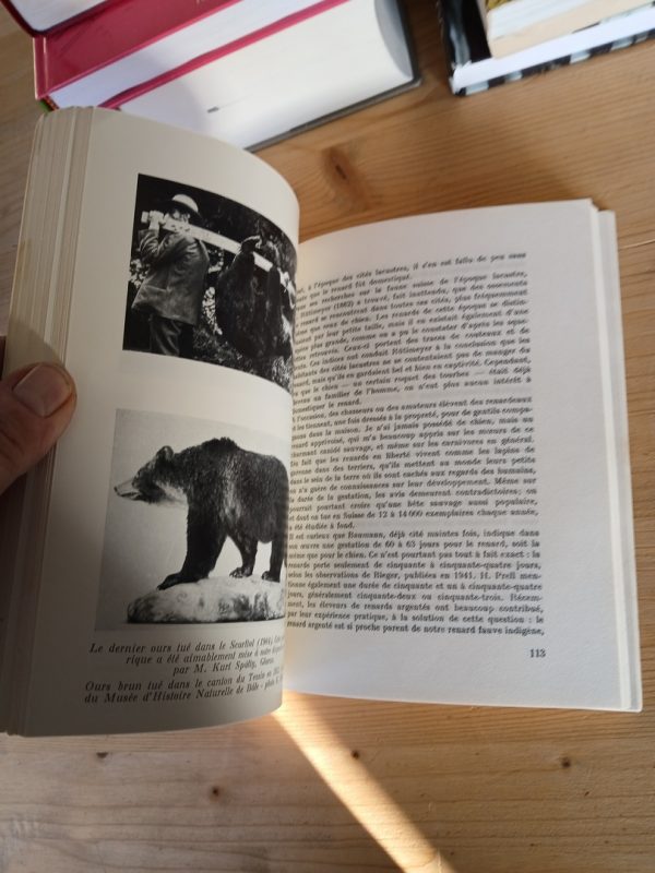 Nos animaux sauvages – Image 2