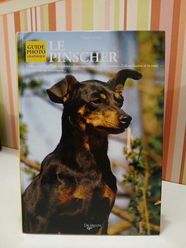 Le Pinscher