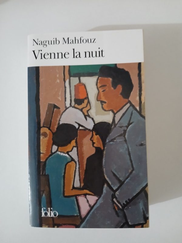 Vienne la nuit