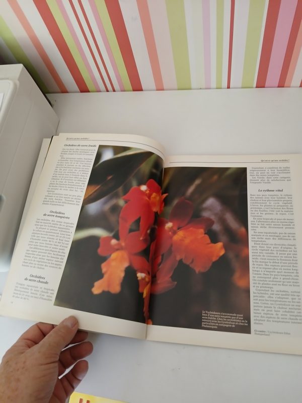 L Orchidée – Image 2
