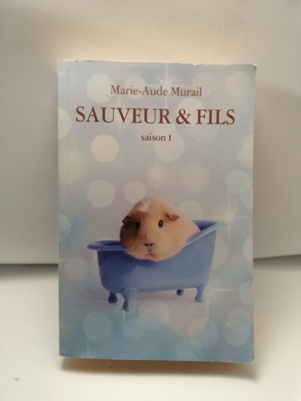 Sauveur & Fils Saison 1
