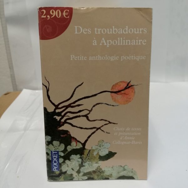Des Troubadours À Apollinaire - Petite Anthologie Poétique