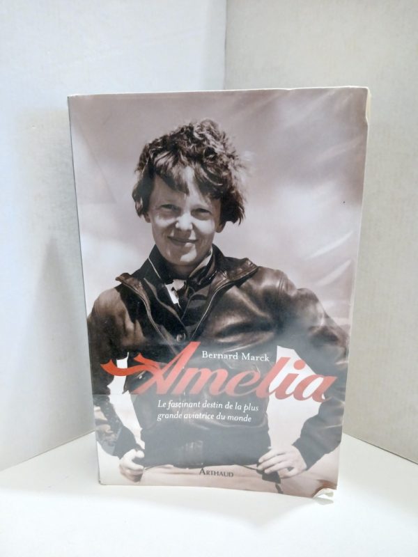 Amelia - Le fascinant destin de la plus grande aviatrice du monde