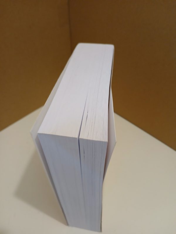 Les Livres De Jakób - Ou Le Grand Voyage – Image 2