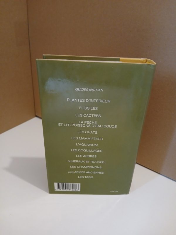 Plantes d'interieur – Image 3