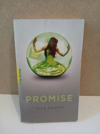 Promise 1