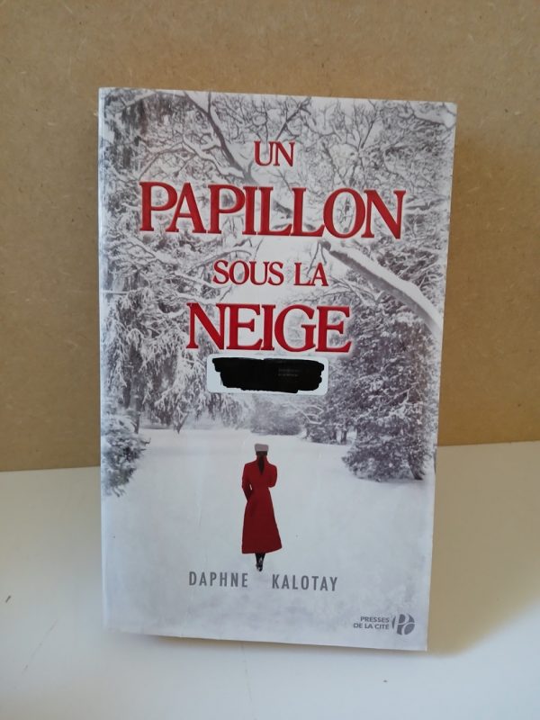 Un papillon sous la neige