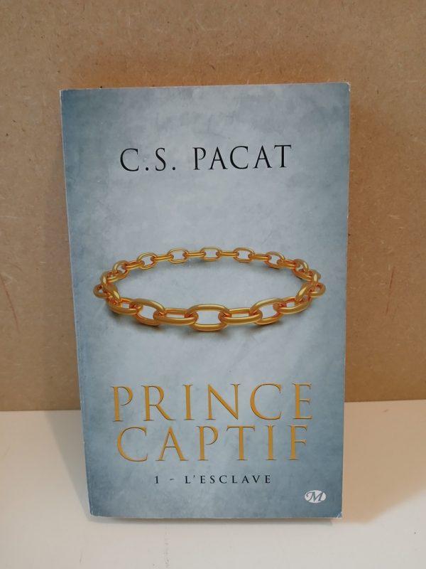 Prince Captif , 1 - L'Esclave
