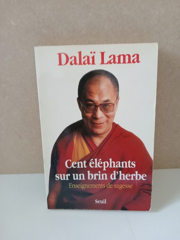 Cent Eléphants sur un brin d'herbe