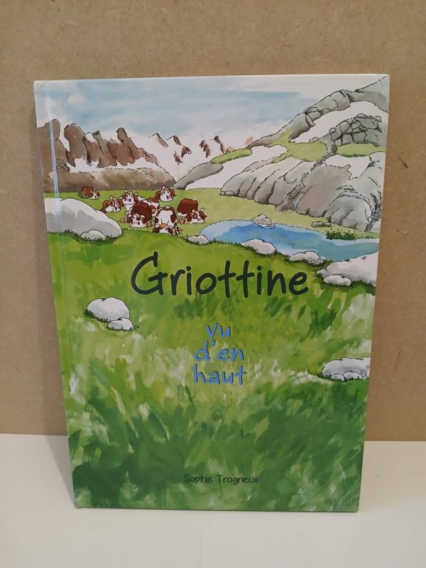 Vu d'en haut - Tome 2
