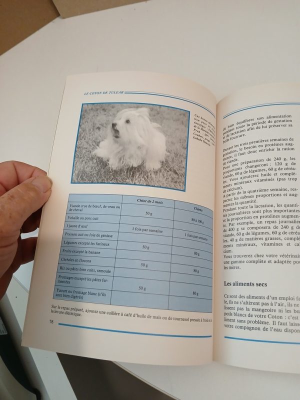 Le coton de Tuléar – Image 2