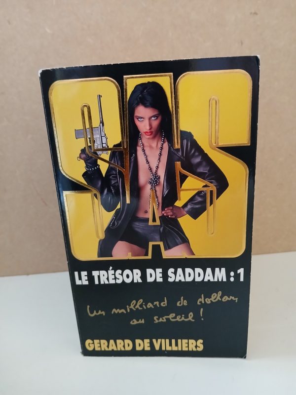 SAS 163 : Le Trésor de Saddam : 1