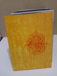 Yannick Noah Quand Vous Êtes Là Coffret 2 DVD