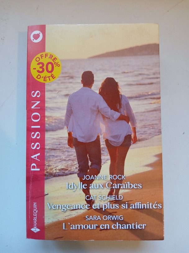 Idylle aux Caraïbes - Vengeance et plus si affinités - L'amour en chantier