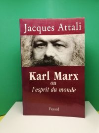 Karl Marx ou L'esprit du monde