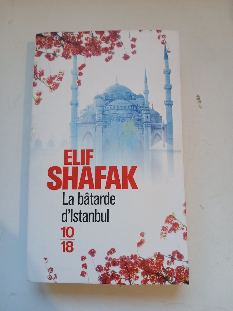 La bâtarde d'Istanbul