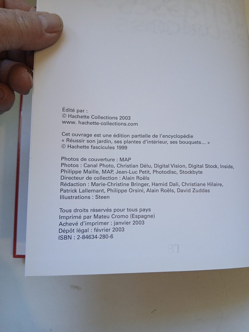 Fleurir les terrasses et balcons – Image 4