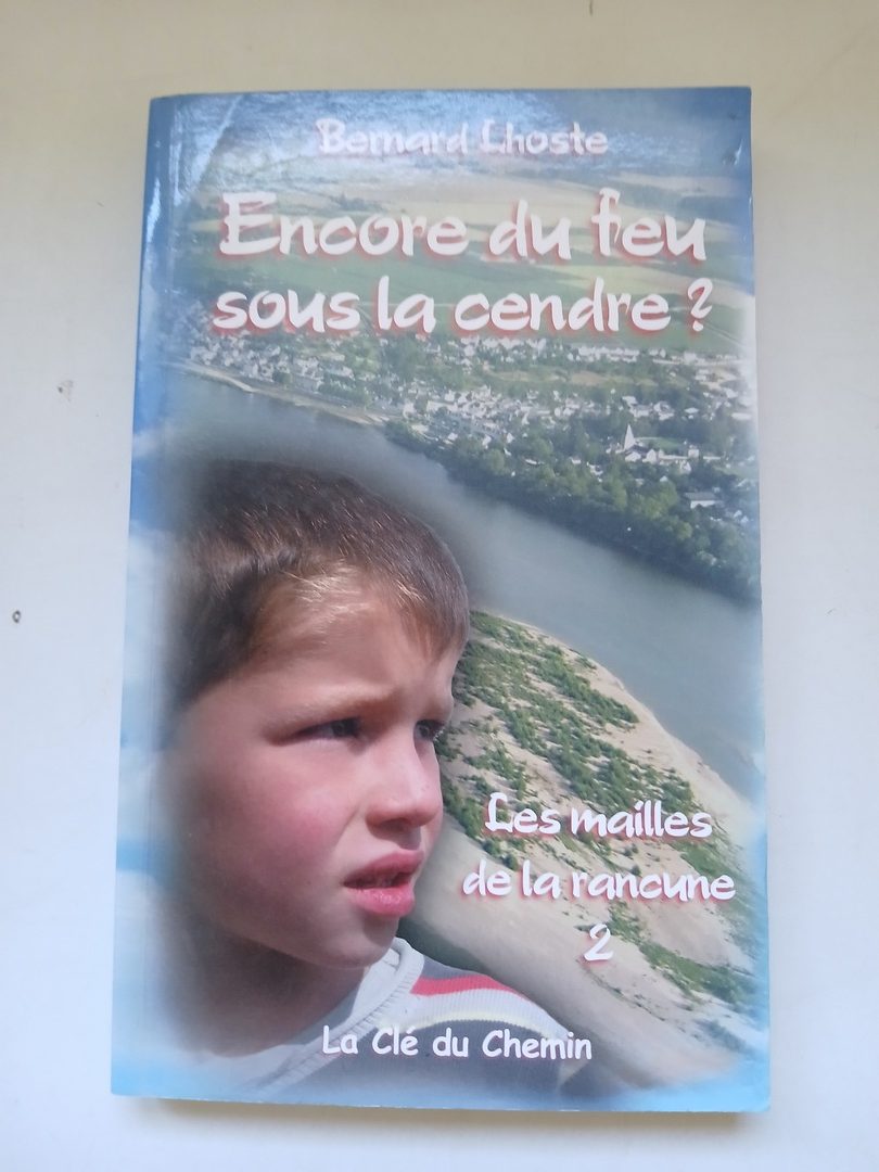 Encore du feu sous la cendre ? Les mailles de la rancune 2