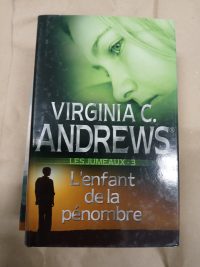 Les jumeaux 3 : L'enfant de la pénombre