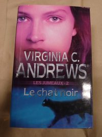 Les jumeaux 2 : Le chat noir