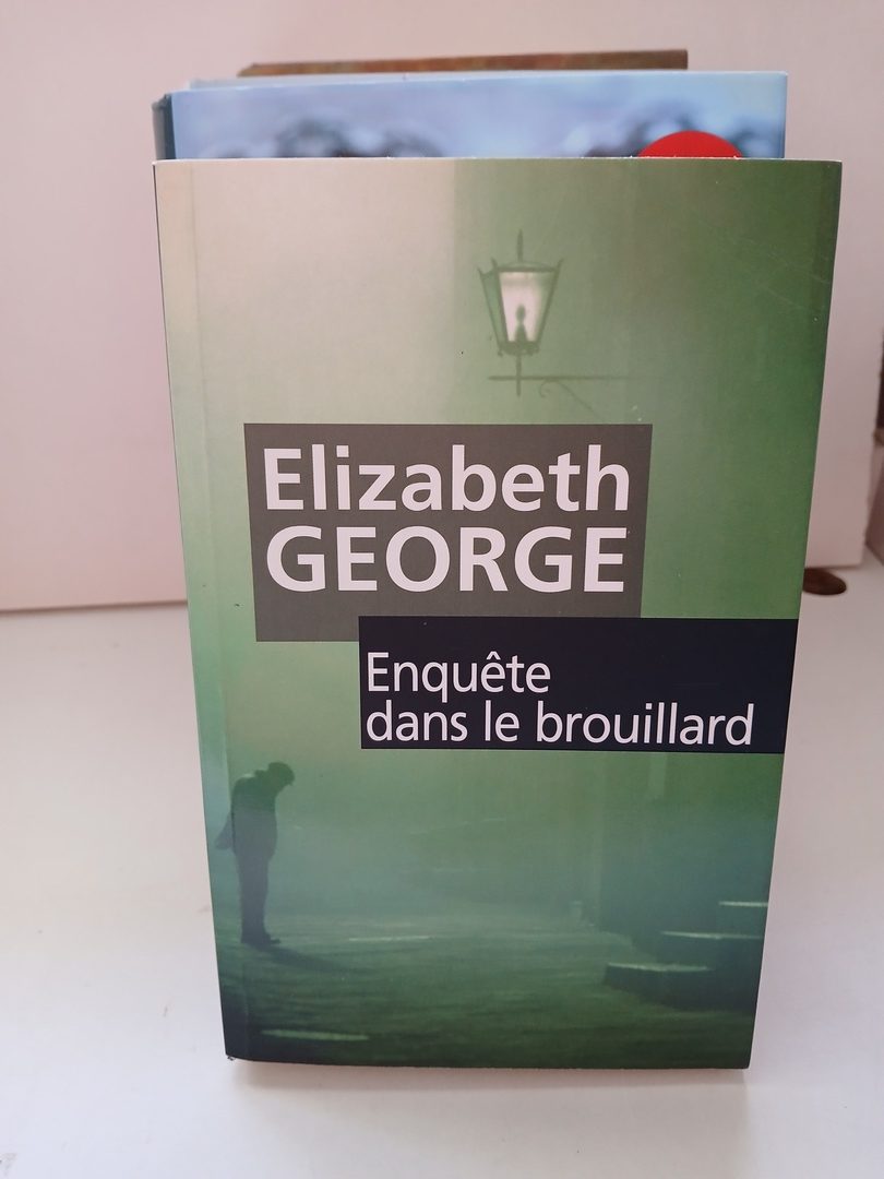 Enquête dans le brouillard